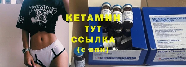 крисы Баксан