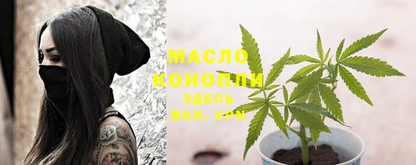 крисы Баксан
