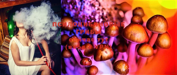 крисы Баксан