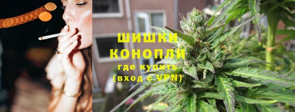 крисы Баксан