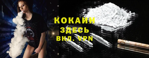 индика Аркадак
