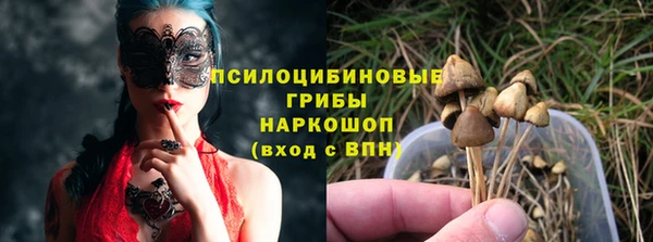 крисы Баксан