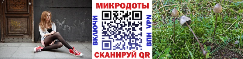 Галлюциногенные грибы мухоморы  наркота  Кудымкар 